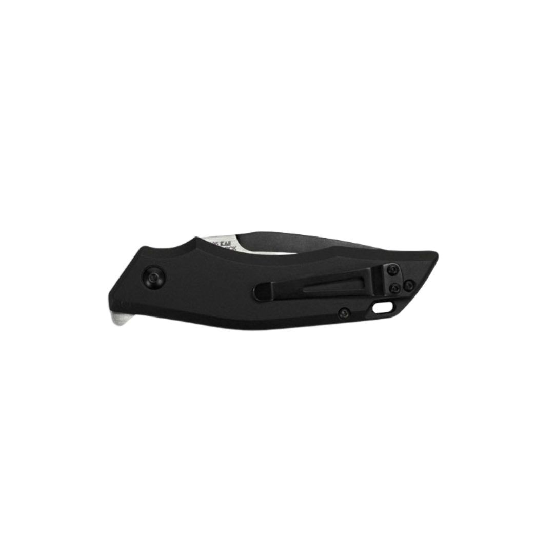 KERSHAW 1905 INDUCTION